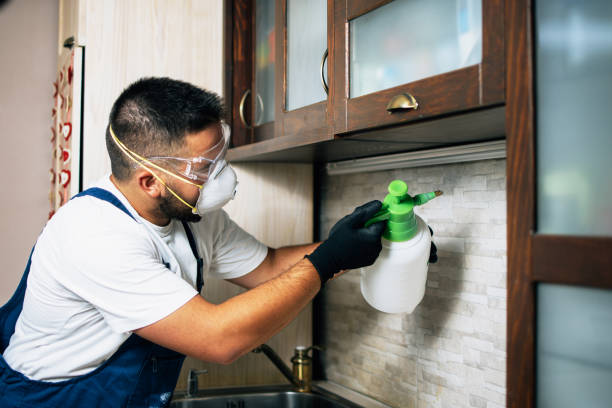 Best Best Pest Control Companies  in Hidden Hills, CA