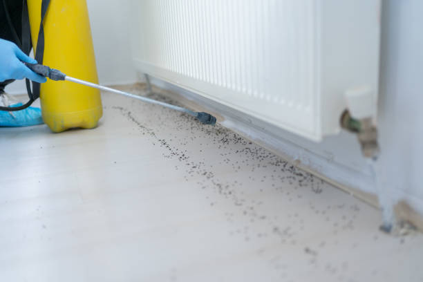 Hidden Hills, CA Pest Control Company