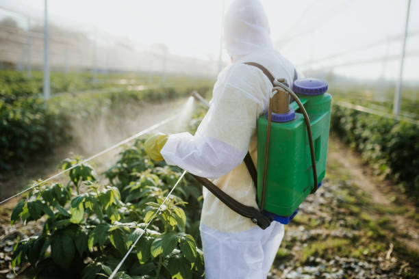 Best Commercial Pest Control Services  in Hidden Hills, CA